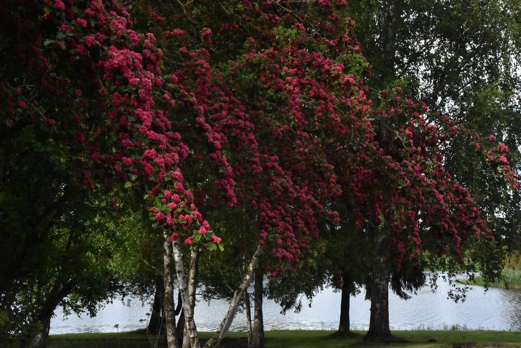 Ilmatsalu Motell ภายนอก รูปภาพ