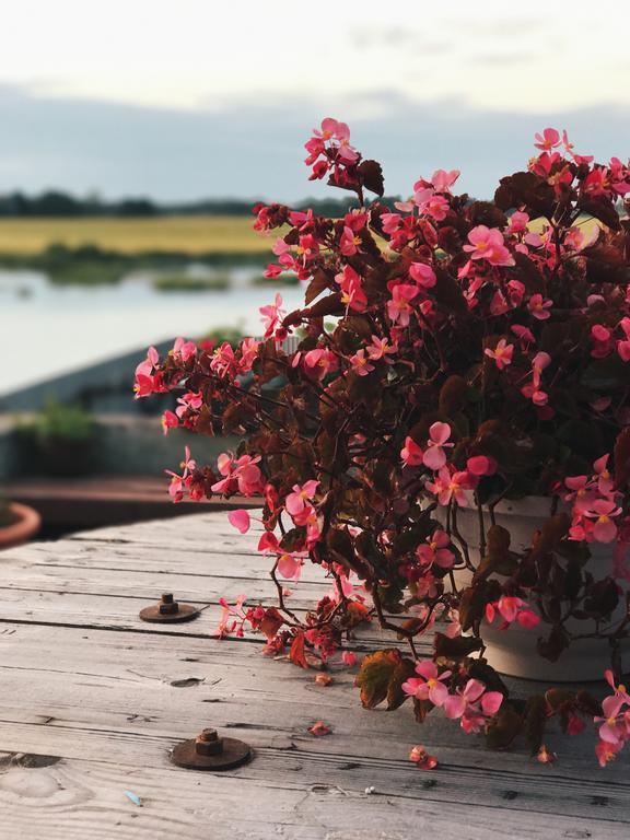 Ilmatsalu Motell ภายนอก รูปภาพ