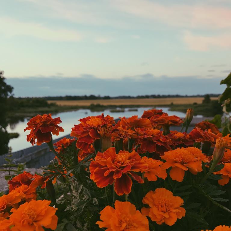 Ilmatsalu Motell ภายนอก รูปภาพ
